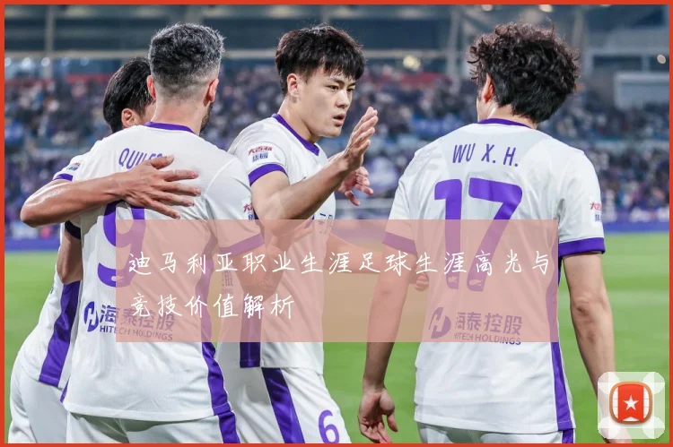 迪马利亚职业生涯足球生涯高光与竞技价值解析